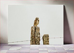 Πίνακας, Owl on a Post Κουκουβάγια σε μια ανάρτηση