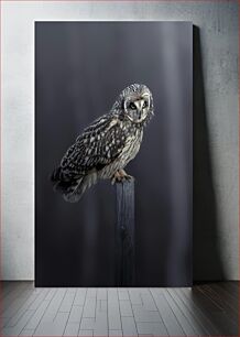 Πίνακας, Owl on a Post Κουκουβάγια σε μια ανάρτηση