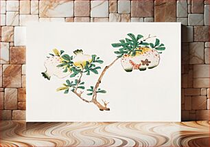Πίνακας, Page from Shi Zhu Zhai (1644–1911) by Hu Zhengyan