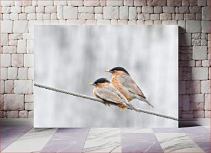Πίνακας, Pair of Birds on a Wire Ζευγάρι πουλιών σε σύρμα