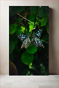 Πίνακας, Pair of Butterflies on a Branch Ζευγάρι πεταλούδων σε ένα κλαδί