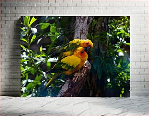 Πίνακας, Pair of Colorful Parrots Ζευγάρι πολύχρωμοι παπαγάλοι