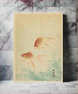 Πίνακας, Pair of Goldfish by Ohara Shōson