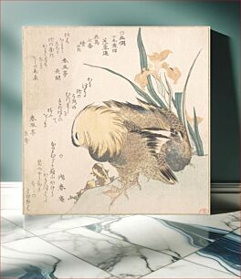 Πίνακας, Pair of Mandarin Ducks and Iris Flowers by Kubo Shunman