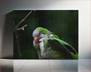 Πίνακας, Pair of Parrots in Nature Ζευγάρι παπαγάλων στη φύση