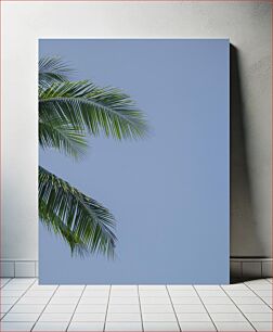 Πίνακας, Palm Leaves Against Blue Sky Φύλλα φοίνικα ενάντια στο γαλάζιο του ουρανού