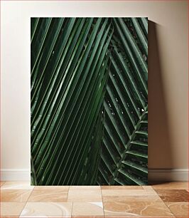Πίνακας, Palm Leaves Close-Up Φύλλα φοίνικα από κοντά