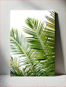 Πίνακας, Palm Leaves in the Sun Φύλλα φοίνικα στον ήλιο