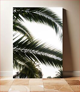 Πίνακας, Palm Leaves with Sunlight Φύλλα φοίνικα με φως του ήλιου