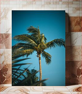 Πίνακας, Palm Tree Against Blue Sky Palm Tree Against Blue Sky