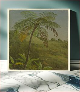 Πίνακας, Palm Tree, Jamaica, Frederic Edwin Church