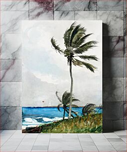 Πίνακας, Palm Tree, Nassau (1898) by Winslow Homer