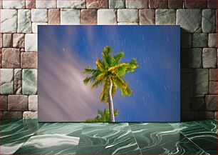 Πίνακας, Palm Tree Under a Night Sky Φοίνικας κάτω από έναν νυχτερινό ουρανό