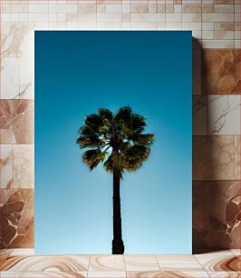 Πίνακας, Palm Tree Under Clear Sky Φοίνικας κάτω από τον καθαρό ουρανό