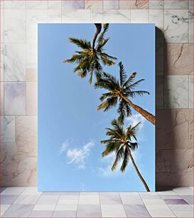 Πίνακας, Palm Trees Against Blue Sky Φοίνικες ενάντια στο γαλάζιο του ουρανού