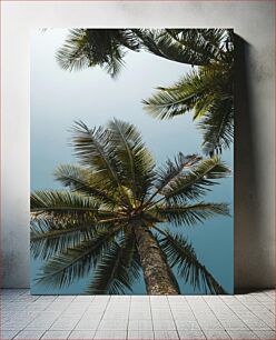 Πίνακας, Palm Trees Against Sky Φοίνικες ενάντια στον ουρανό