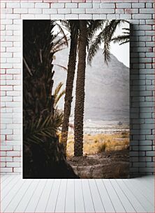 Πίνακας, Palm Trees in Desert Landscape Φοίνικες σε ερημικό τοπίο