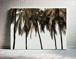 Πίνακας, Palm Trees in the Breeze Palm Trees in the Breeze