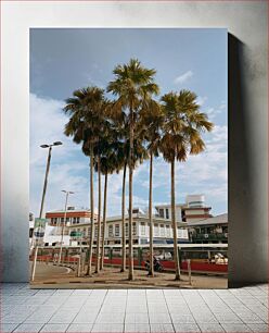 Πίνακας, Palm Trees in Urban Setting Φοίνικες σε αστικό περιβάλλον