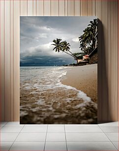 Πίνακας, Palm Trees on a Tropical Beach Φοίνικες σε μια τροπική παραλία