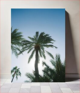 Πίνακας, Palm Trees Under Blue Sky Φοίνικες κάτω από το γαλάζιο του ουρανού
