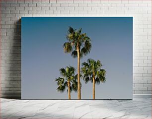 Πίνακας, Palm Trees under Clear Sky Φοίνικες κάτω από τον καθαρό ουρανό