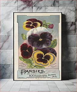 Πίνακας, Pansies, from seeds put up by D. M. Ferry & Co., Detroit, Mich