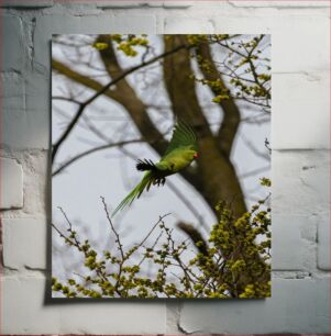 Πίνακας, Parakeet in Flight amidst Trees Parakeet σε πτήση ανάμεσα σε δέντρα