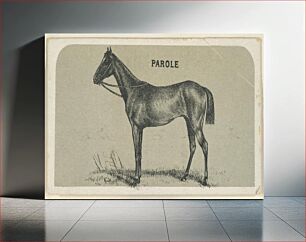 Πίνακας, Parole, from the Race Horses series (N168) for Canvas Backs Cigarettes