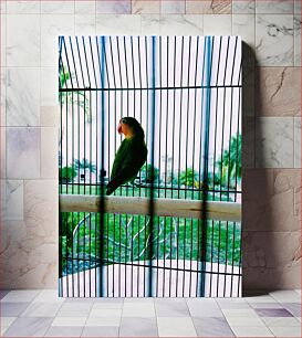 Πίνακας, Parrot in a Cage Παπαγάλος σε ένα κλουβί