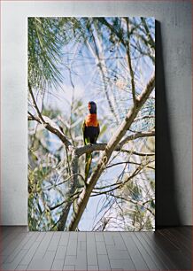 Πίνακας, Parrot in the Tree Παπαγάλος στο δέντρο