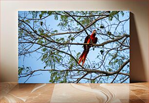 Πίνακας, Parrot in the Trees Παπαγάλος στα δέντρα