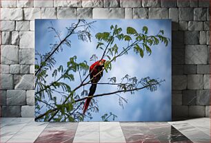 Πίνακας, Parrot in Tree Παπαγάλος στο δέντρο