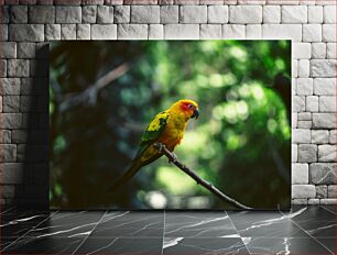 Πίνακας, Parrot on a Branch Παπαγάλος σε ένα κλαδί