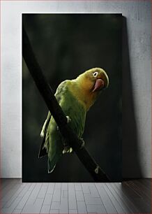 Πίνακας, Parrot on a Branch Παπαγάλος σε κλαδί
