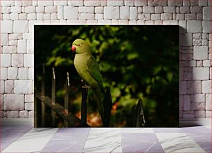 Πίνακας, Parrot on a Fence Παπαγάλος σε φράχτη