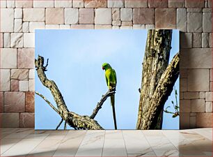 Πίνακας, Parrot on a Tree Branch Παπαγάλος σε κλαδί δέντρου