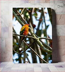 Πίνακας, Parrot Perched on Tree Branch Παπαγάλος σκαρφαλωμένος σε κλαδί δέντρου