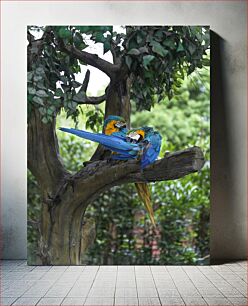Πίνακας, Parrots in a Tree Παπαγάλοι σε ένα δέντρο