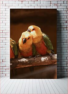Πίνακας, Parrots in Affection Παπαγάλοι σε Στοργή