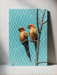 Πίνακας, Parrots on a Branch Παπαγάλοι σε ένα κλαδί