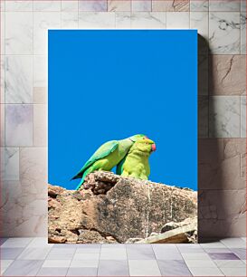 Πίνακας, Parrots Perching on Rock Παπαγάλοι που κουρνιάζουν στο βράχο