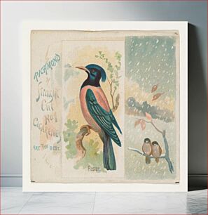 Πίνακας, Pastor, from the Song Birds of the World series (N42) for Allen & Ginter Cigarettes