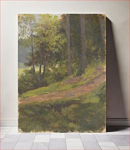 Πίνακας, Path on the edge of the forest, Jan Novopack?