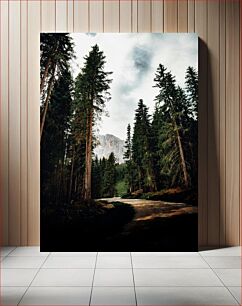 Πίνακας, Path Through a Forest Μονοπάτι μέσα από ένα δάσος