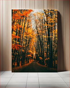 Πίνακας, Path through Autumn Forest Μονοπάτι μέσα από το φθινοπωρινό δάσος
