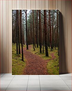 Πίνακας, Path Through the Forest Μονοπάτι Μέσα από το Δάσος