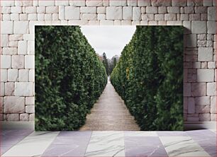 Πίνακας, Pathway between Tall Green Hedges Μονοπάτι ανάμεσα σε ψηλούς πράσινους φράκτες