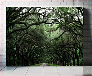 Πίνακας, Pathway through Dense Trees Μονοπάτι μέσα από πυκνά δέντρα