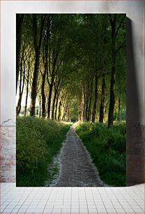 Πίνακας, Pathway Through Forest Pathway Through Forest